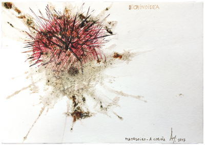 197。smashed sea urchin, ink/paper 14,8 x 21 cm -&nbsp;5.82 x 8.26 in